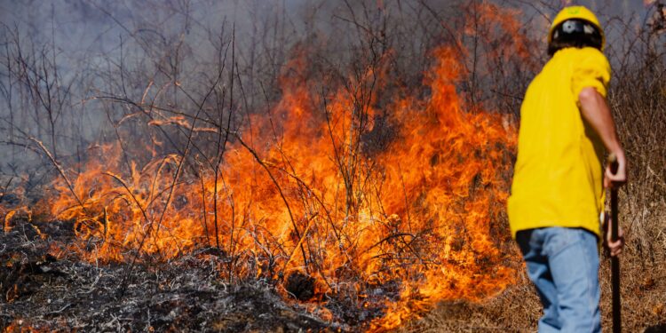 WV Spring Fire Season, Burning Restrictions Return March 1