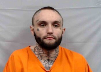 Man Arrested for Domestic Battery After Alleged Assault at Fayette Town Park