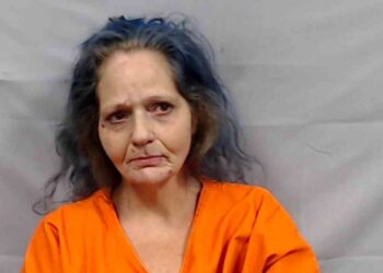 Woman Arrested After Domestic Incident in Nallen