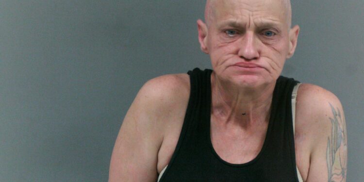 Woman Accused of Setting Fires, Threatening Neighbors with Knife