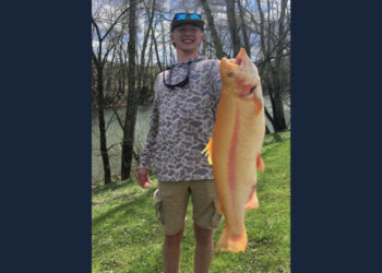 Buckhannon teen catches record-breaking golden rainbow trout
