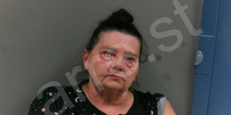Woman Accused of Assaulting Relative, Throwing Kitten and Tampering With Pregnant Granddaughter’s Vehicle