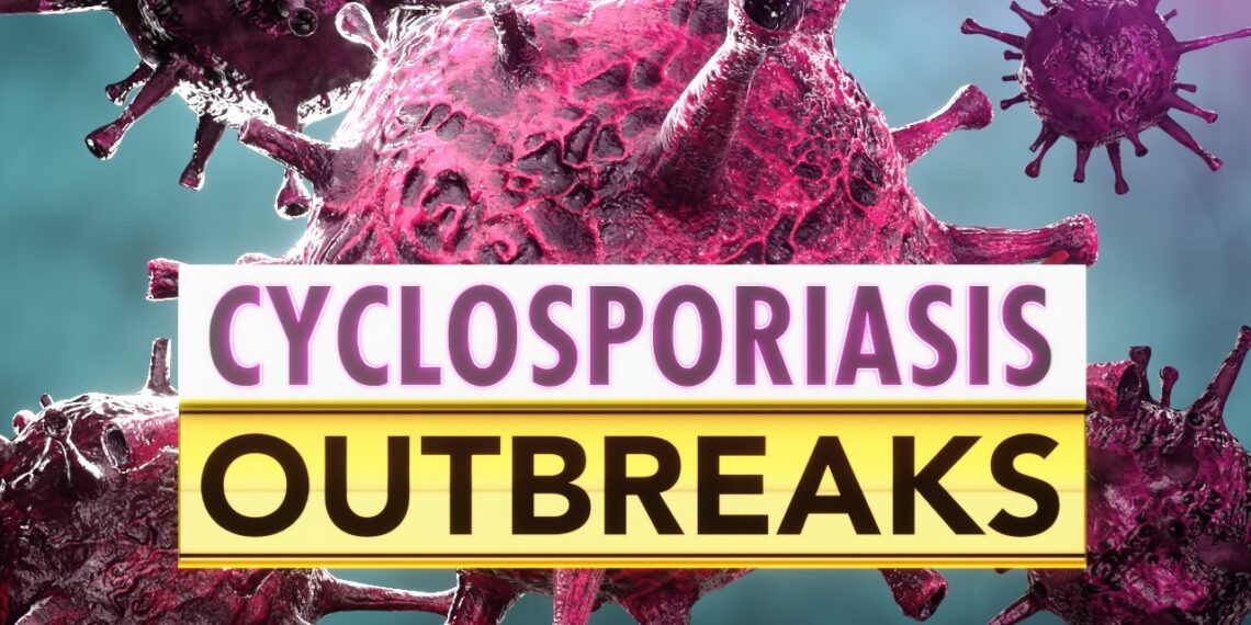 Blender:File:C:UsersleoDesktop__Daily Uploads7_8_26CYCLOSPORIASIS OUTBREAKSCYCLOSPORIASIS OUTBREAKS.blend
