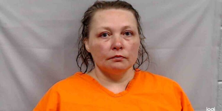 Woman Accused of Leaving 5-Year-Old in Roadway Tries to Steal State Police Cruiser, Faces Multiple Felony Charges