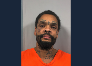 Police: Three Pit Bulls Repeatedly Attack Woman and 4-Year-Old Child in Fayette County