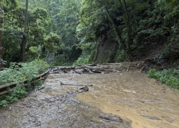 (New River Gorge National Park & Preserve)