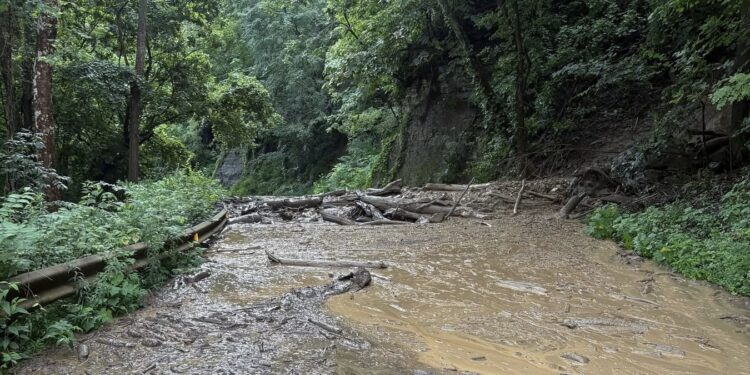 (New River Gorge National Park & Preserve)