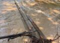 The bridge to the shelter has been washed away | Fayette County Animal Shelter