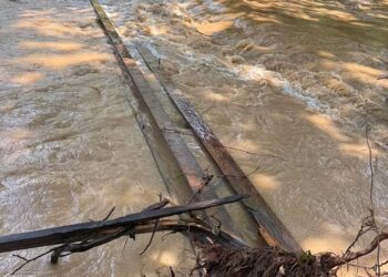 The bridge to the shelter has been washed away | Fayette County Animal Shelter