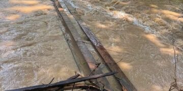 The bridge to the shelter has been washed away | Fayette County Animal Shelter