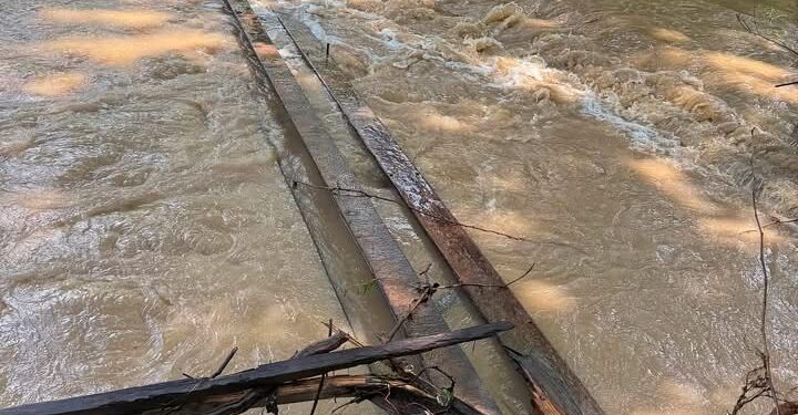 The bridge to the shelter has been washed away | Fayette County Animal Shelter