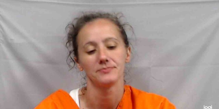 Woman Arrested After Allegedly Running Into Traffic on Wyoming County Highway