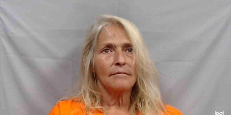 Fayette County Woman Accused of Striking Neighbor With Crowbar